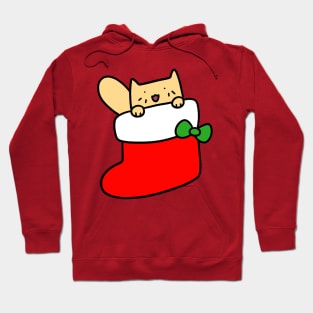 Yellow Cat Inside Stocking Hoodie